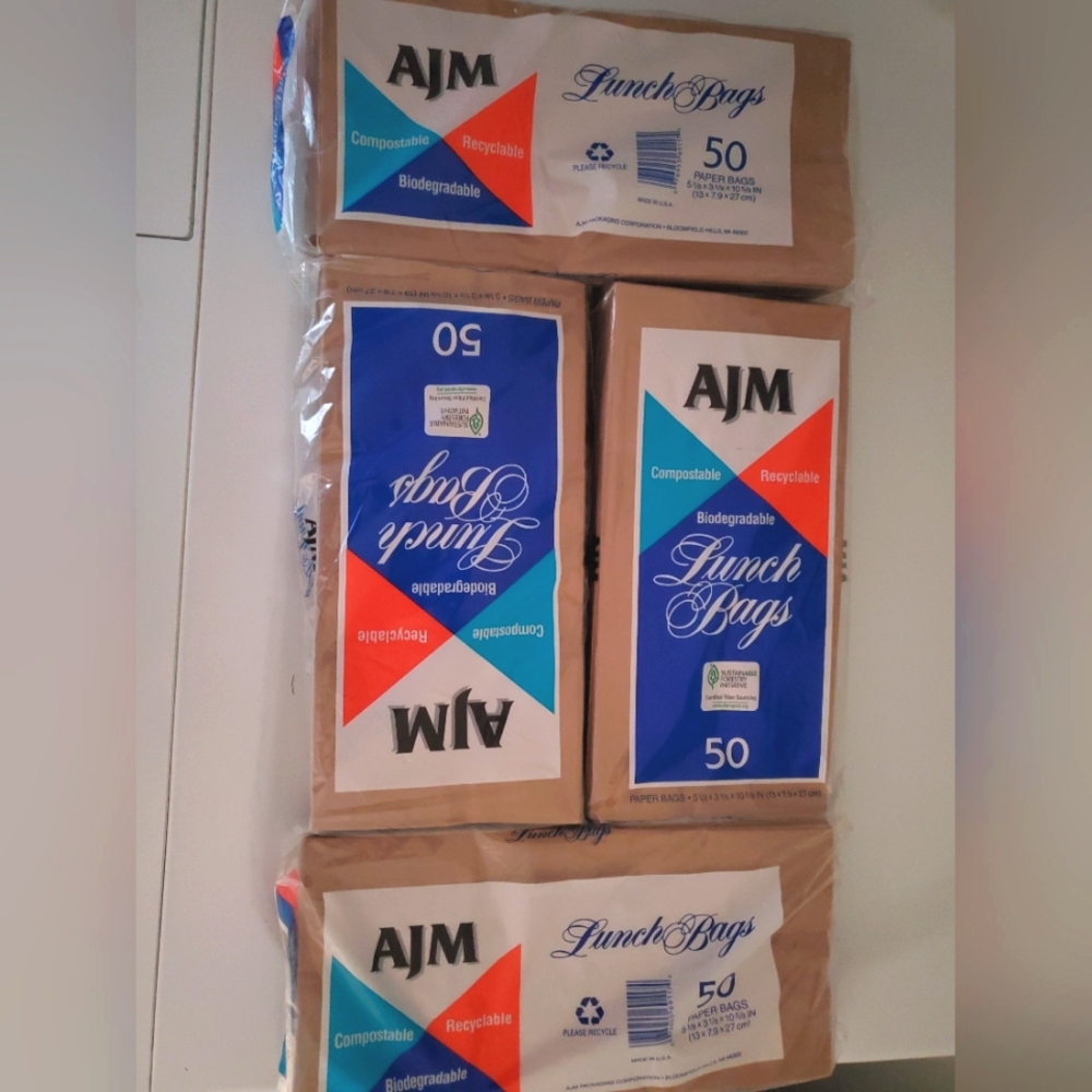 : 200 brown Lunch Paper Bags 5 1/8" x 10 5/8" x 3 1/8" crafts Picnic Party Etc